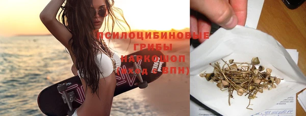 стаф Нея