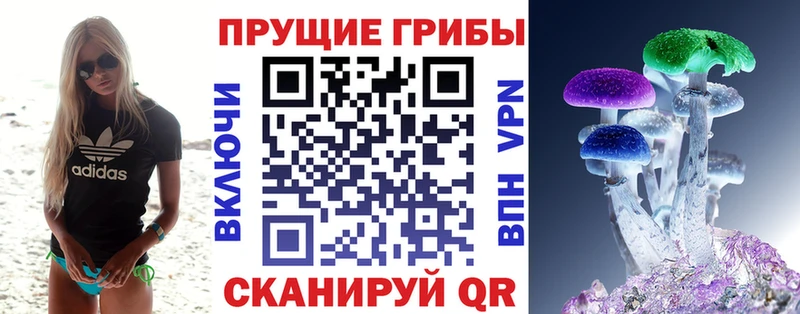 ОМГ ОМГ ТОР  Ижевск  Псилоцибиновые грибы мицелий 